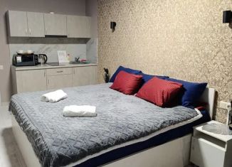 Сдам 1-комнатную квартиру, 23 м2, Самарская область, Самарская улица, 95А