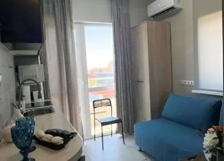 Сдается в аренду 1-комнатная квартира, 16 м2, Сочи, улица Чкалова, 66