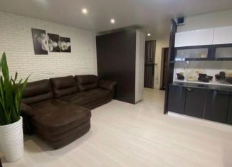 Сдается в аренду 2-ком. квартира, 70 м2, Алтайский край, улица Профинтерна, 7А