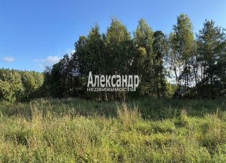 Продаю земельный участок, 12 сот., деревня Хвойное