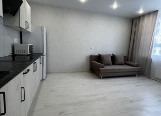 Продажа 1-комнатной квартиры, 35 м2, Казань, улица Михаила Миля, 7, Авиастроительный район