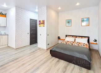 Квартира в аренду студия, 40 м2, Самара, улица Мечникова, 3, метро Алабинская