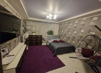 Сдается однокомнатная квартира, 45 м2, Псков, улица Шестака, 24