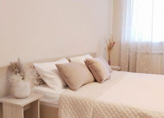 Сдается в аренду 2-ком. квартира, 71.1 м2, Самара, улица Мичурина, 148, Октябрьский район