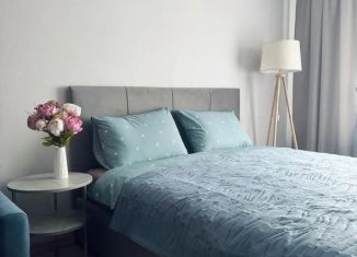 Аренда 2-комнатной квартиры, 46 м2, Карелия, Западная улица, 2Б