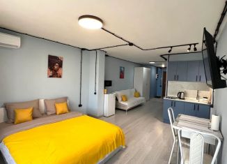 Сдается квартира студия, 38 м2, Уфа, улица Аксакова, 81, Ленинский район