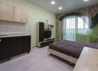 Аренда однокомнатной квартиры, 26 м2, Алтайский край, проспект Строителей, 18