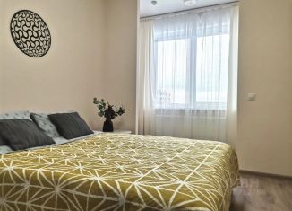 Сдаю в аренду двухкомнатную квартиру, 39 м2, Пермь, Сапфирная улица, 13, Мотовилихинский район