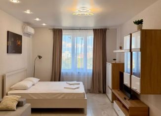 Аренда 1-комнатной квартиры, 48 м2, Самара, улица Соколова, 32