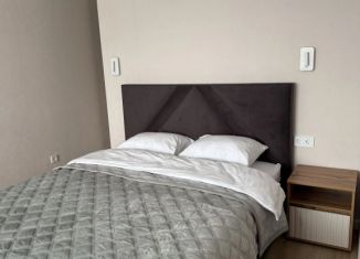 1-ком. квартира в аренду, 44 м2, Самара, метро Победа, улица Советской Армии, 177