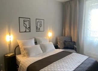 Сдаю квартиру студию, 30 м2, Ленинградская область, Венская улица, 4к2