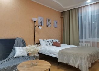 Однокомнатная квартира в аренду, 49 м2, Самара, 6-я просека, 155
