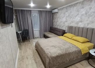 Сдается в аренду квартира студия, 35 м2, Северная Осетия, микрорайон Моздок-1, 33