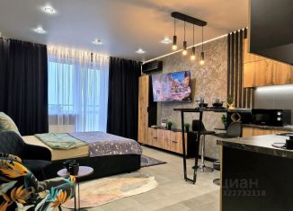 Сдам в аренду 1-комнатную квартиру, 33 м2, Омск, улица Маршала Жукова, 156