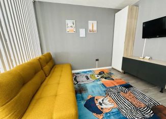 Сдаю однокомнатную квартиру, 32 м2, Иркутская область, улица Обручева, 1