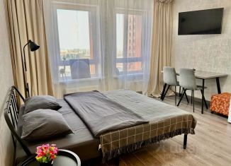 Сдается в аренду квартира студия, 28 м2, Республика Башкортостан, бульвар Ибрагимова, 90/2
