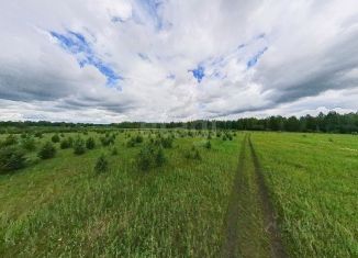 Продается участок, 8.16 сот., деревня Елань, деревня Елань, 14