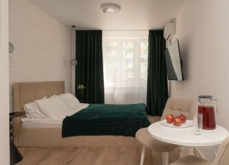1-ком. квартира в аренду, 21 м2, Самара, 4-й проезд, 67Б, метро Московская
