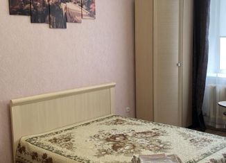 Сдача в аренду 1-комнатной квартиры, 46 м2, Омская область, улица Яковлева, 9