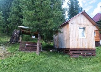 Сдается дом, 8 м2, село Артыбаш, Телецкая улица, 98Е