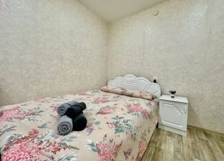 Сдается в аренду 1-ком. квартира, 35 м2, Иркутская область, улица Румянцева, 19А