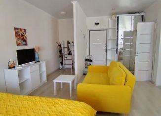 Сдается квартира студия, 30 м2, Ставропольский край, улица Пирогова, 5Ак6
