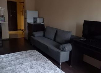 Аренда квартиры студии, 29 м2, Москва, Пятницкое шоссе, 21, метро Пятницкое шоссе