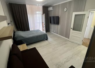 Сдам в аренду 1-ком. квартиру, 50 м2, Геленджик, улица Гоголя, 7к2