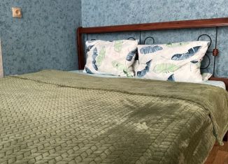 Сдается 1-комнатная квартира, 30 м2, Выкса, улица Белякова, 29