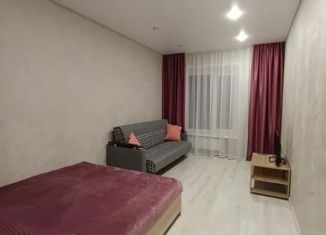 Сдача в аренду 1-комнатной квартиры, 49 м2, Арзамас