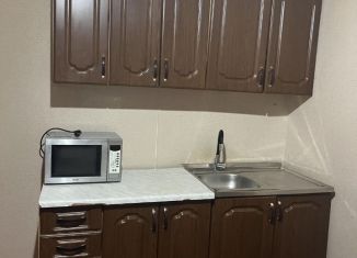 Сдам в аренду 1-комнатную квартиру, 40 м2, Ставрополь, улица Пирогова, 15
