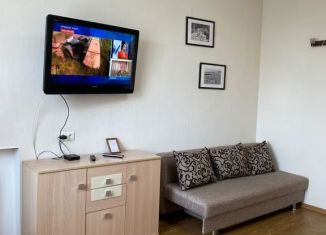 Сдам 1-ком. квартиру, 45 м2, Пермский край, улица Героев Хасана, 4