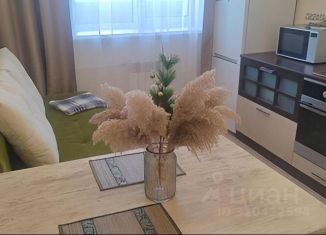Сдам в аренду однокомнатную квартиру, 46 м2, Иркутск, Октябрьский округ, улица Ядринцева, 88