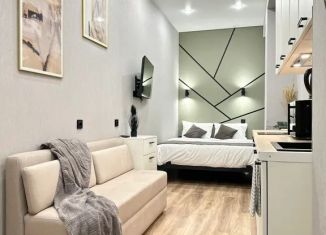 Сдам квартиру студию, 20 м2, Казань, улица Карла Маркса, 5, Вахитовский район