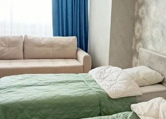 Сдача в аренду квартиры студии, 35 м2, село Дивеево, улица Симанина, 14