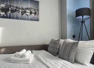 Сдаю в аренду квартиру студию, 30 м2, Ленинградская область, улица Сторожевой Башни, 10