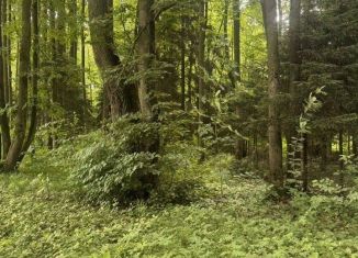 Продам земельный участок, 13 сот., деревня Бурцево, деревня Бурцево, 150