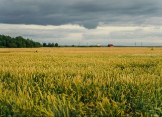 Участок на продажу, 11 сот., Ленинградская область