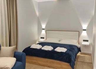 Сдаю квартиру студию, 31 м2, Ленинградская область, проспект Ленина, 5