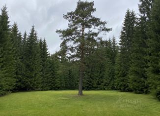 Продажа участка, 16 сот., деревня Матвеево