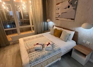 Сдам в аренду квартиру студию, 31 м2, Казань, улица Аделя Кутуя, 100, Советский район