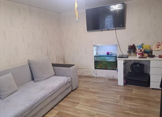 Продаю дом, 23.3 м2, Нижегородская область, деревня Елевая, 49