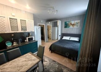 Сдача в аренду 1-ком. квартиры, 25 м2, Кудрово, Пражская улица, 9
