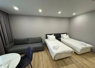 Сдается в аренду 1-ком. квартира, 29 м2, Казань, улица Карла Маркса, 24, Вахитовский район
