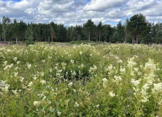 Продаю участок, 10 сот., Ленинградская область