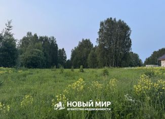 Продается участок, 6.05 сот., Нижегородская область, деревня Елисино, 17/1