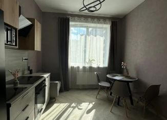 Сдам в аренду 1-комнатную квартиру, 41 м2, Кудрово, проспект Строителей, 1к2