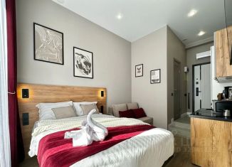 Сдается в аренду квартира студия, 20 м2, Казань, улица Карла Маркса, 5, Вахитовский район