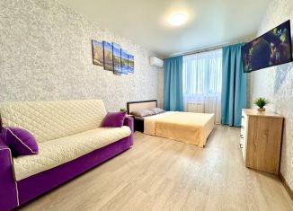 1-ком. квартира в аренду, 45 м2, Самарская область, проспект Карла Маркса, 246