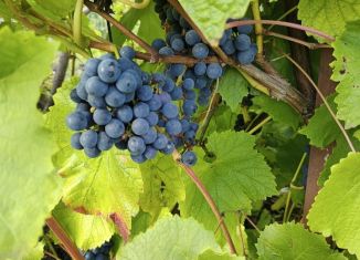 Продам дачу, 42 м2, Самарская область, 8-я улица, 460